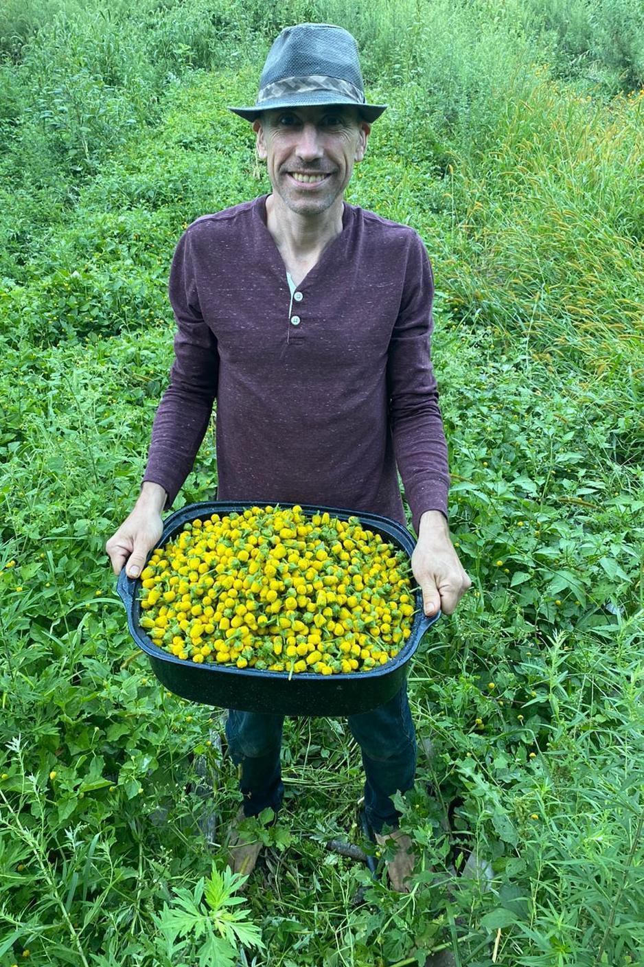 Farmer growing plants for TotalPlanta