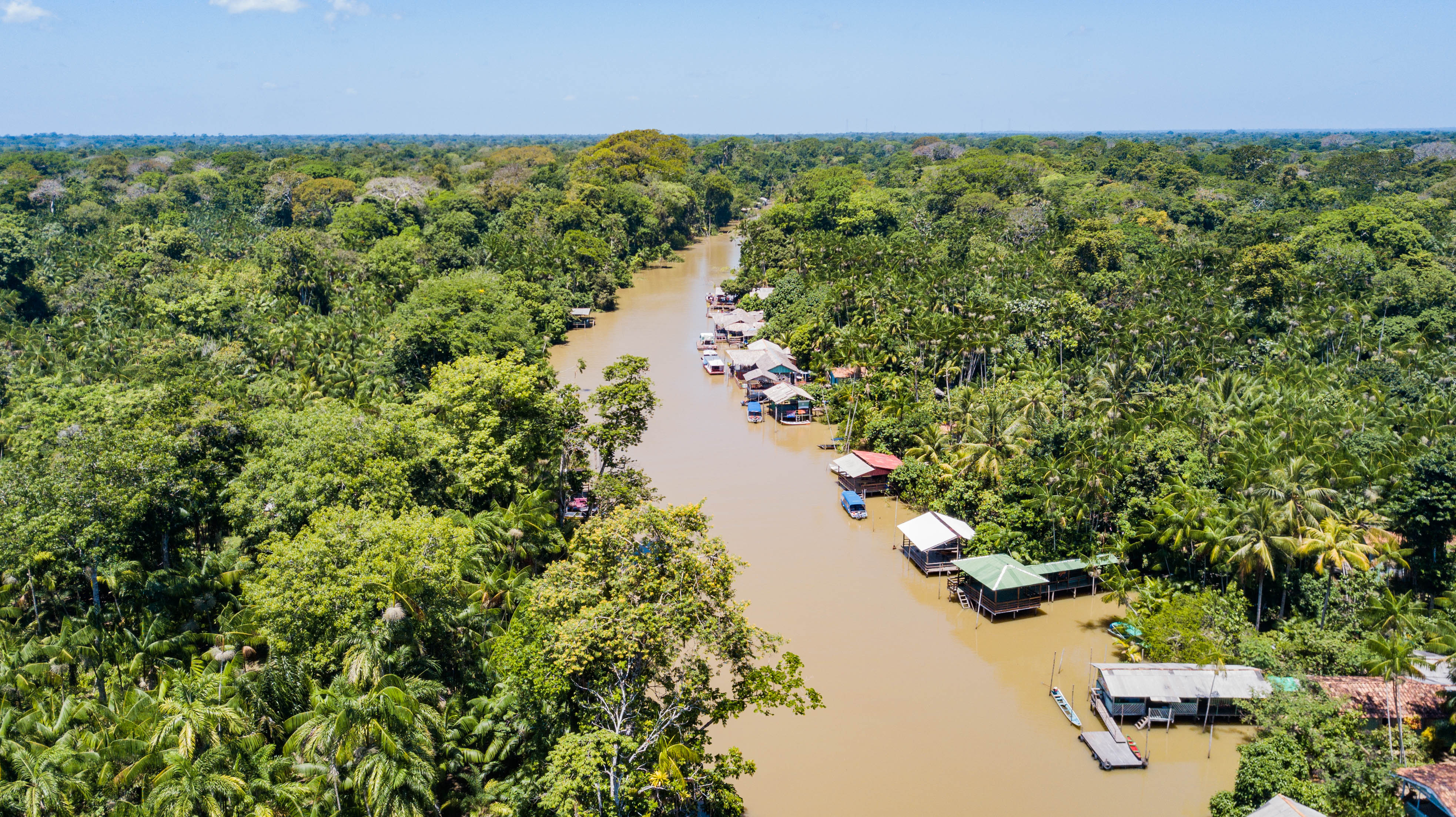 The Amazon in Pará, Brazil